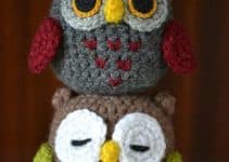 hacer hermosas lechuzas tejidas al crochet