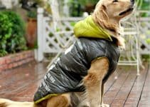 ideas novedosas sobre como hacer ropa para perros grandes