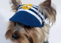 diseños curiosos de gorros tejidos para perros a crochet