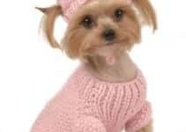 admira a estos modelos en estas imagenes de ropa para perros