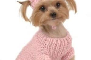 imagenes de ropa para perros tejidos
