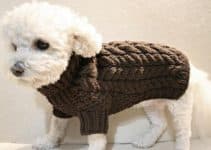 patrones para saber como hacer un abrigo para perro