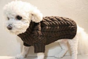 como hacer un abrigo para perro pequeño