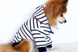 ropa para perros machos fashion