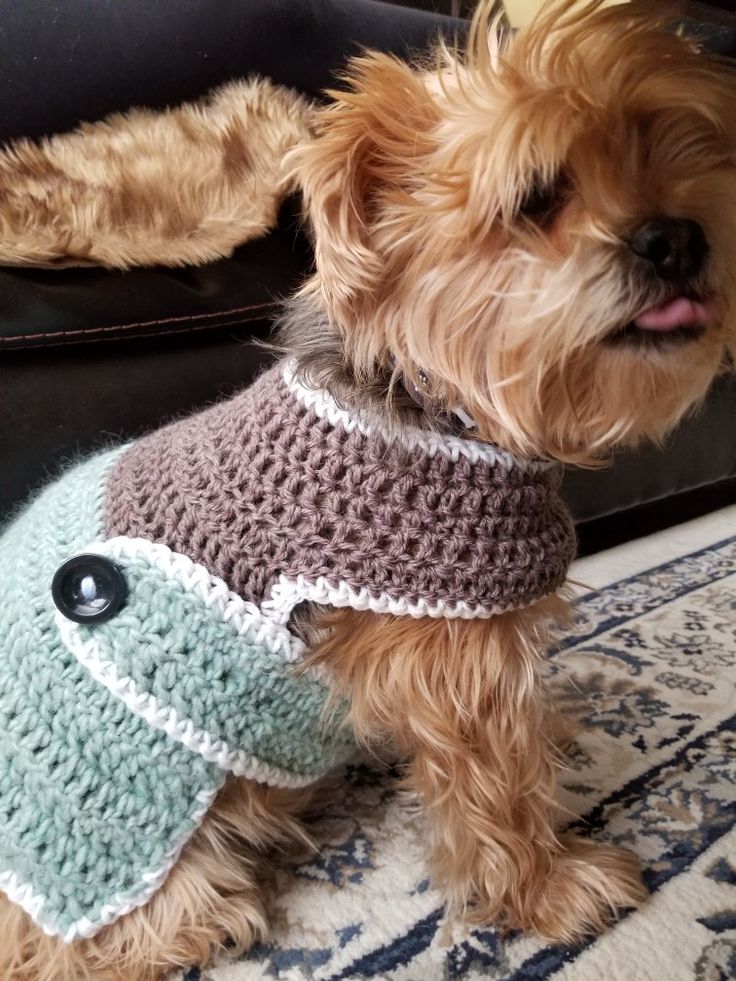 ropa para perros a crochet