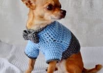ropa para perros a crochet talla 4 a 6