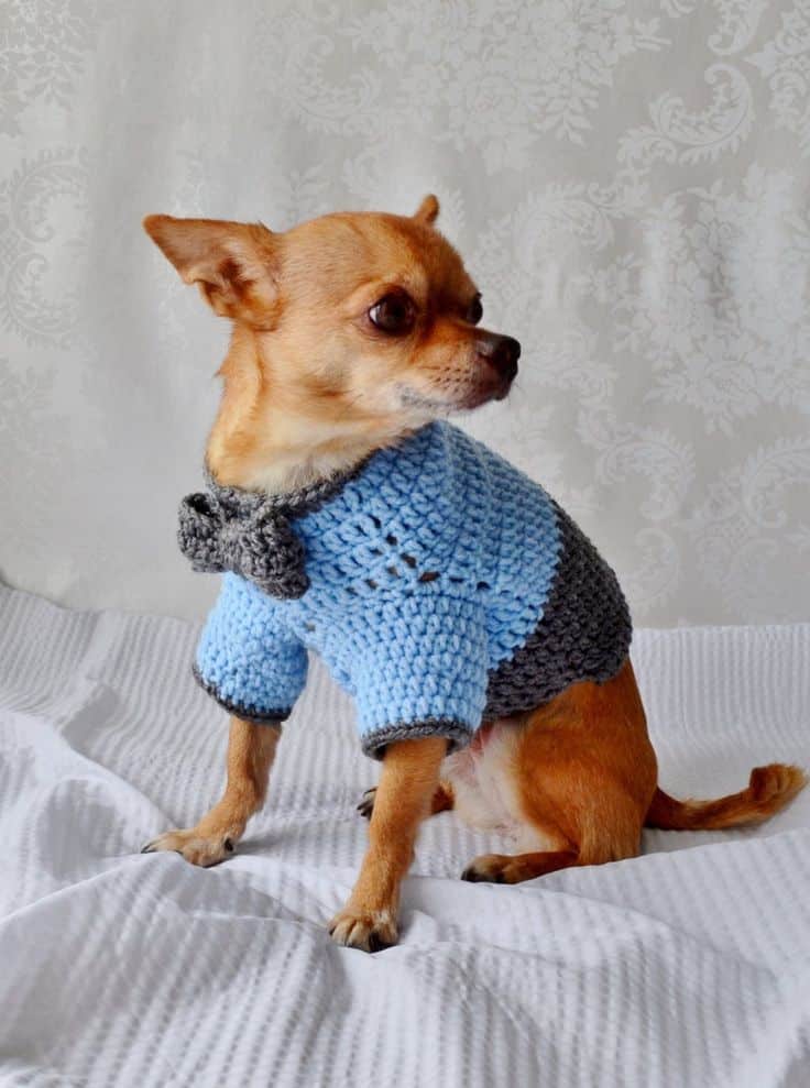 Ropa Para Perros A Crochet Talla 4 A 6