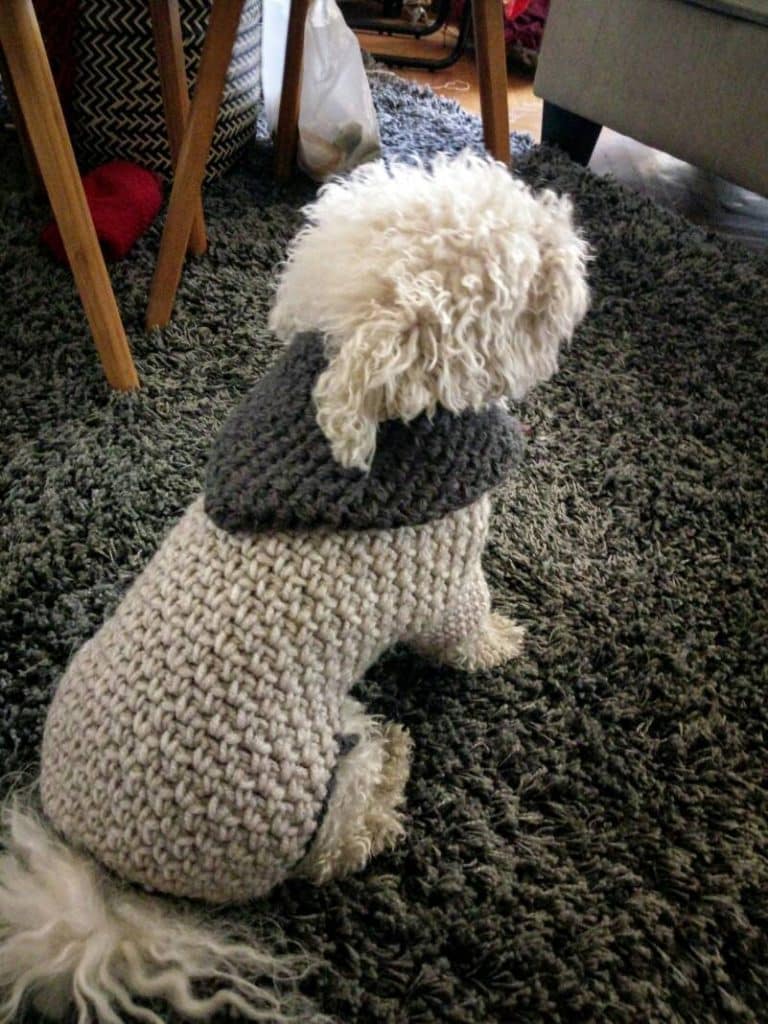 ropa a crochet para perro sencilla
